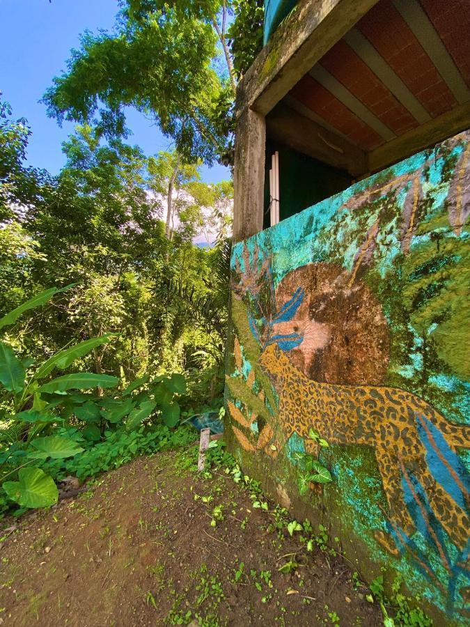 Greensoul Hospedagem Ubatuba Eksteriør billede